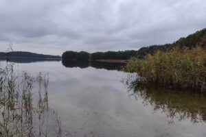 House under the Linden Tree, Sylwia and Marcin Remez