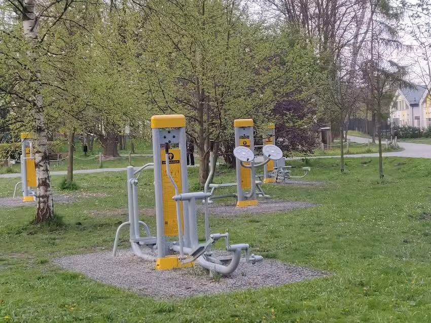 House Under the Thujas