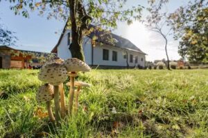 Dom przy Puszczy Noteckiej