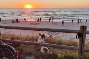 A cottage by the sea