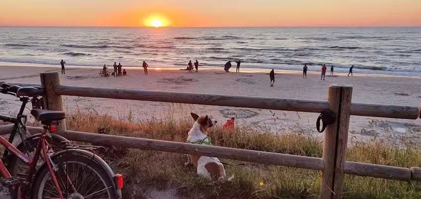 A cottage by the sea
