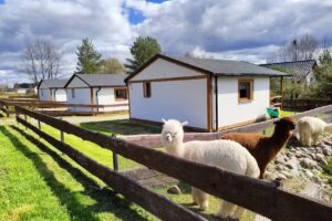 Domki Chmielno na Słonecznikowej