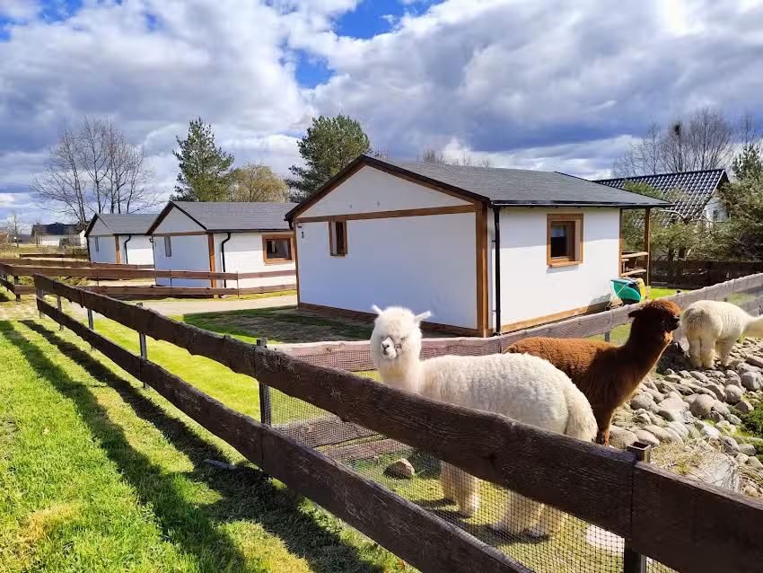 Chmielno Cottages on Słonecznikowa Street