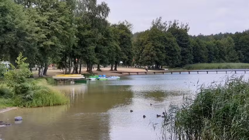 Domki (Ferienhaus) Dominikowo