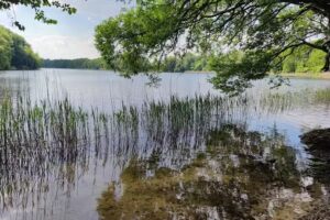 Holiday Cottages and Accommodation – PIOTIWO