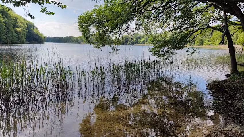 Domki Letniskowe i Noclegi – PIOTIWO