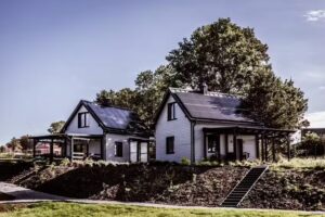Cottages in Kashubia Cornflowers and Chamomile