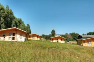 Cottages under the Birches