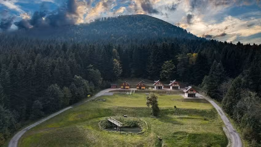 Domki w Kasinie – Domki dla rodzin i na romantyczne wypady