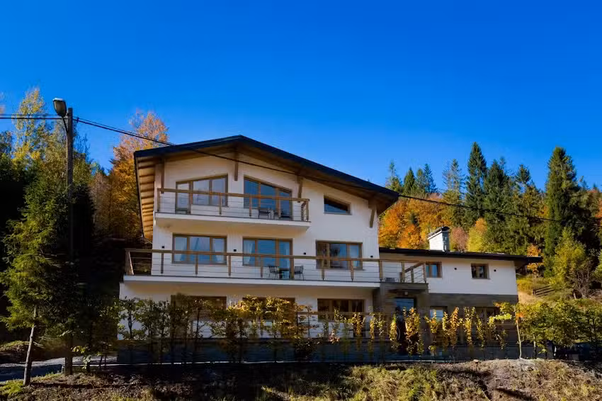 Dream Apart Willa Marko