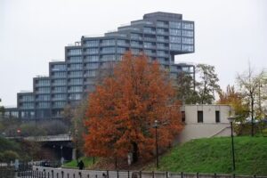 Dream Team Nordic Haven