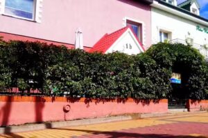 Dziwnów Accommodation