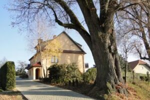 Dźwigajówka pod Lipami Agrotourism