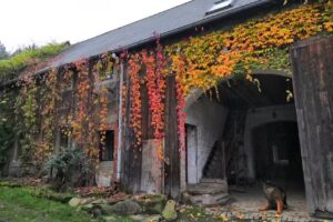 Ökotourismus Nowina Katarzyna Trawińska