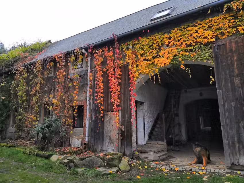 Ökotourismus Nowina Katarzyna Trawińska