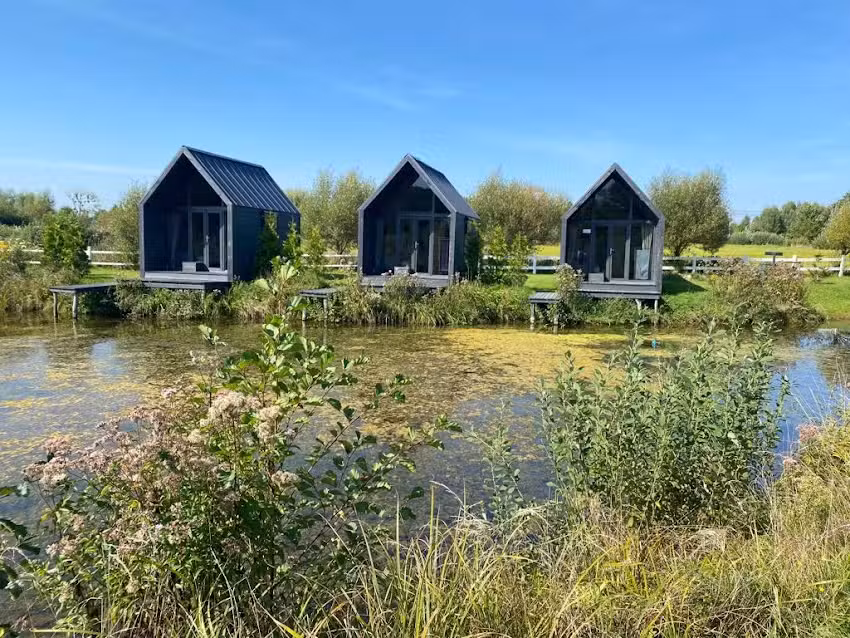 Weißstorch-Bauernhof