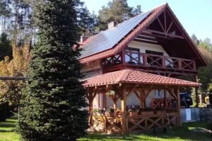 Warbler Dawn 604121556