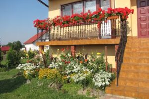 Jan. Boulder. Agritourism farm