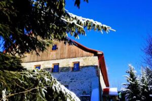 Gościniec: Śliwkowy Sad