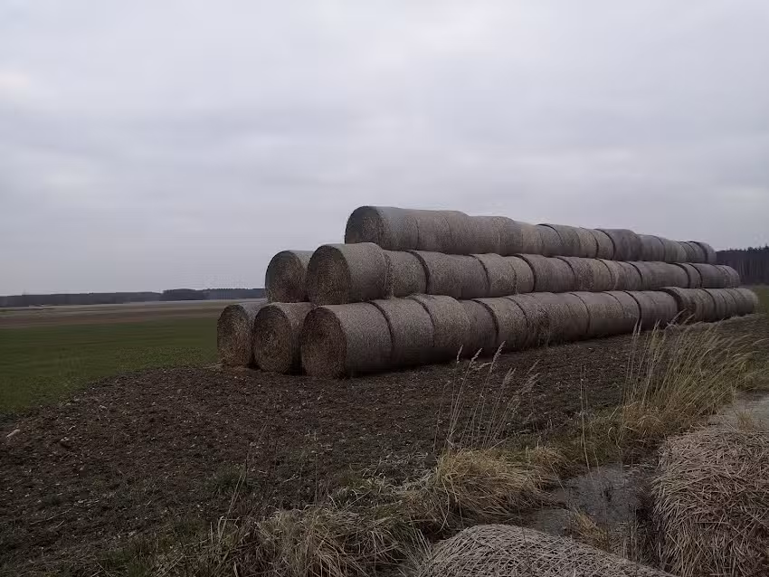Agrotourismus-Bauernhof