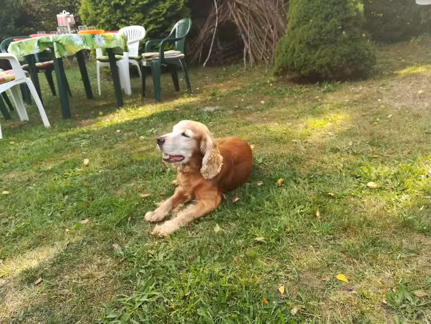 Gospodarstwo Agroturystyczne Bogusław i Barbara Monik