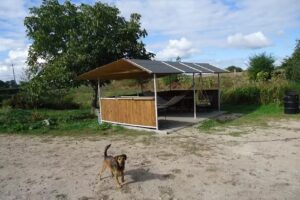 Agritourism farm – Matoga Czesław