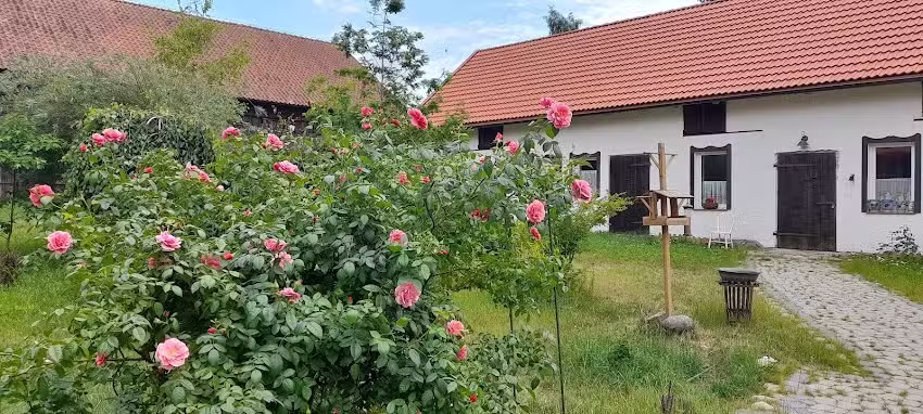 Der Agrotourismus-Bauernhof „Ostoja Kamionki“ ist ein Lebensraum in Masuren