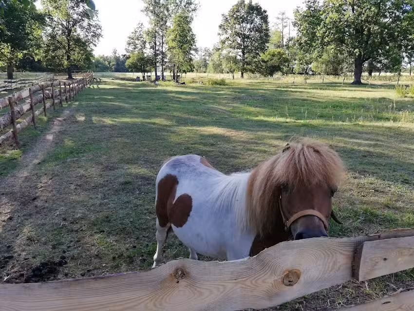 Agrotouristischer Bauernhof „Pod Dębami“