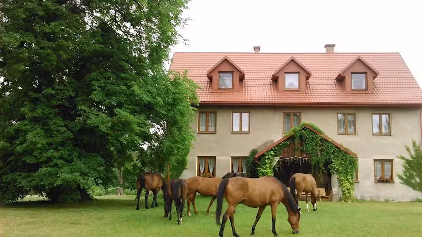 Agrotourismus-Bauernhof Polanka