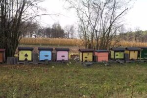 Gospodarstwo Agroturystyczne Politowizna