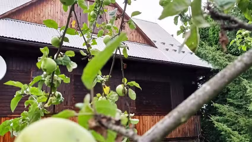 Gospodarstwo Agroturystyczne U Stasików