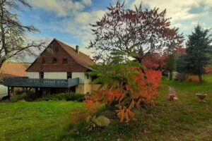 Eco-agritourism farm “Farm under the Volcano”