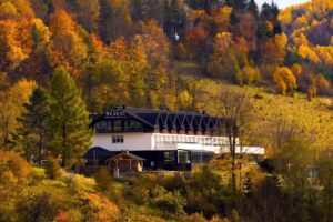 Hotel Beskid Balneo Medical Resort & SPA