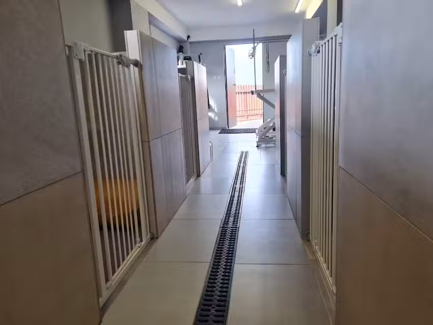 Hotel dla psów „Psia Ostoja”