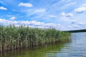 Jach Jerzy. Agrotourismus