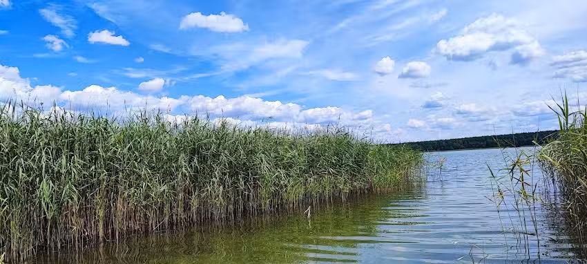 Jach Jerzy. Agrotourismus