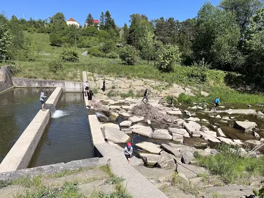 Campingplatz Jędrusiowe