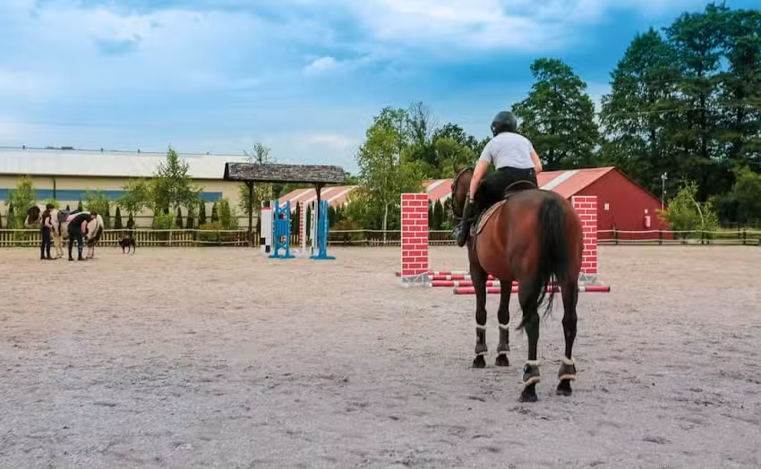 Klub Jeździecki Stowarzyszenia Manor House Dziedzictwo