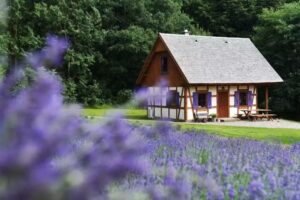 Lawendowa Osada – Ganzjährig bewohnbare Ferienhäuser in Kaschubien, Unterkunft, Wellness & Spa, Bio-Bauernhof