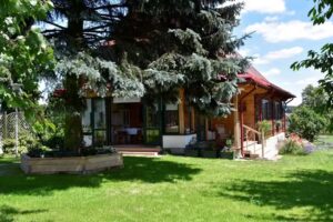 LAVENDER as possible