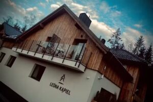 Forest Bath Karpacz – apartments and cottages with a private sauna and swimming pool