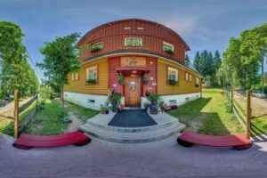 Forest Apartments – Zieleniec