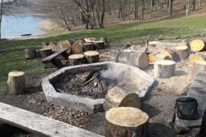 Forest Campsite Window