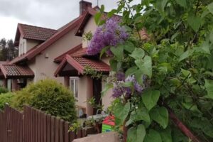 MARTIK – accommodation