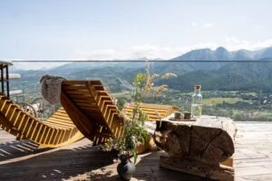 Mountain Shelter Salamander