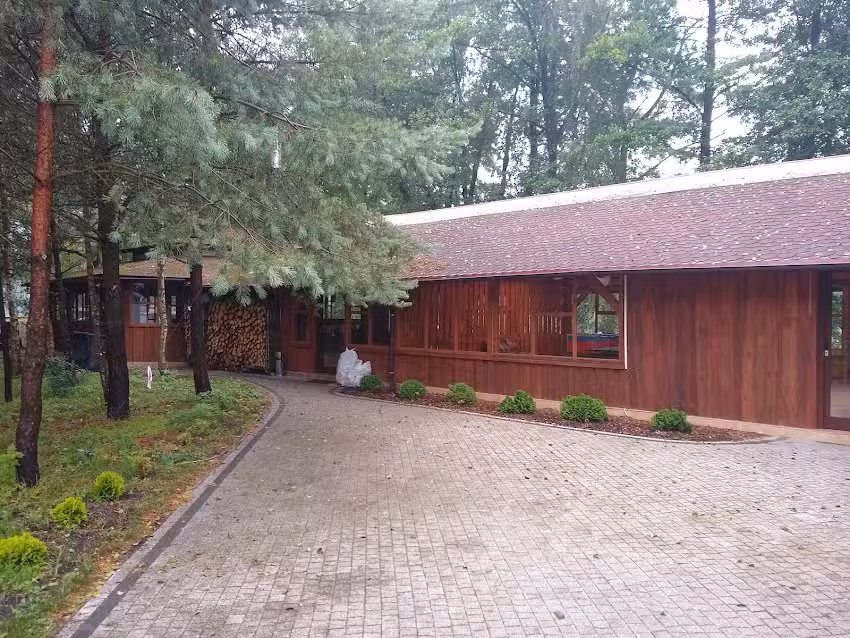 Nad Białym. pole namiotowe leśne