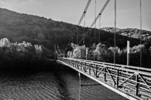 By the Bay. Agritourism. Blackbird Sylwia