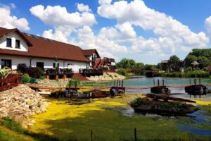 Nenufar Kościan | Sale bankietowe & Hotel