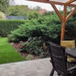 Overnight stay under the oak tree