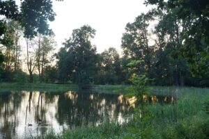 Accommodation Kochcice